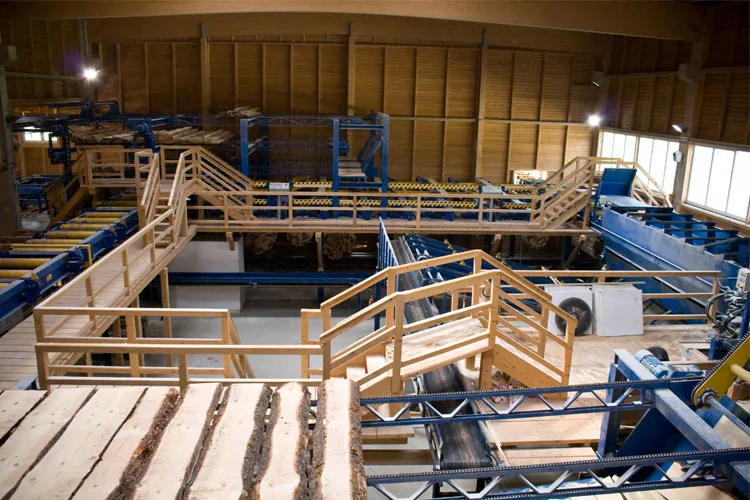 Blick in die Sortierhalle mit Gurtboxen und Holzkonstruktion